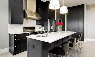 厨房里的黑色时尚 品位现代设计的专业之道